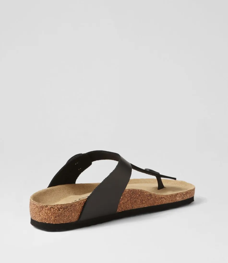 Sandales JOSEF SEIBEL Bianca-02 Noir - Confort Garanti en Cuir Véritable pour Femme, Style Intemporel