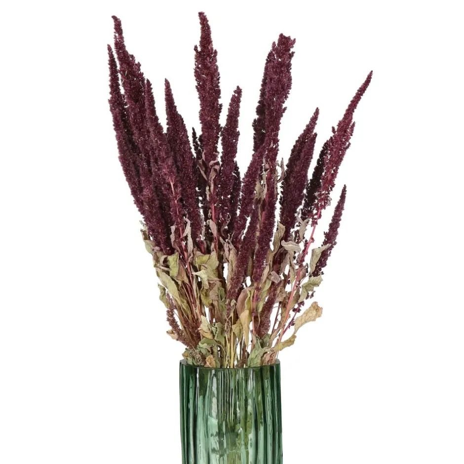 Bouquet Éternel Collita | Amarante Sauvage Séchée Naturellement | Déco Écologique 60 cm - Nuances Bordeaux 

(Note : J'ai restructuré les éléments clés en utilisant des formulations plus évocatrices typiques du marketing floral français, ajouté des termes valorisants comme 