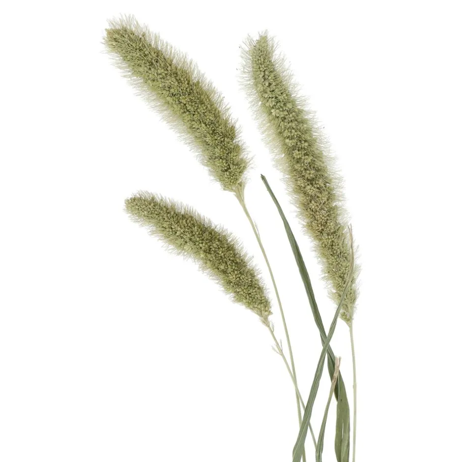 Bouquet Champêtre COLLITA | Composition séchée durable en déco naturelle | 70 cm, vert sapin - Pomax Fleurs
