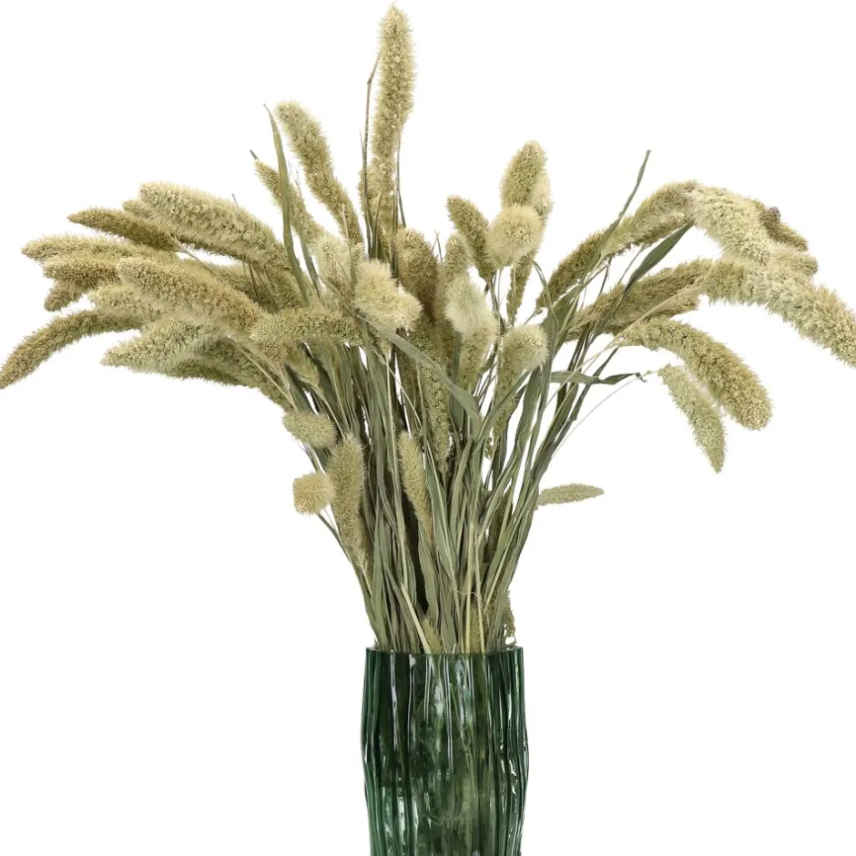 Bouquet Champêtre COLLITA | Composition séchée durable en déco naturelle | 70 cm, vert sapin - Pomax Fleurs