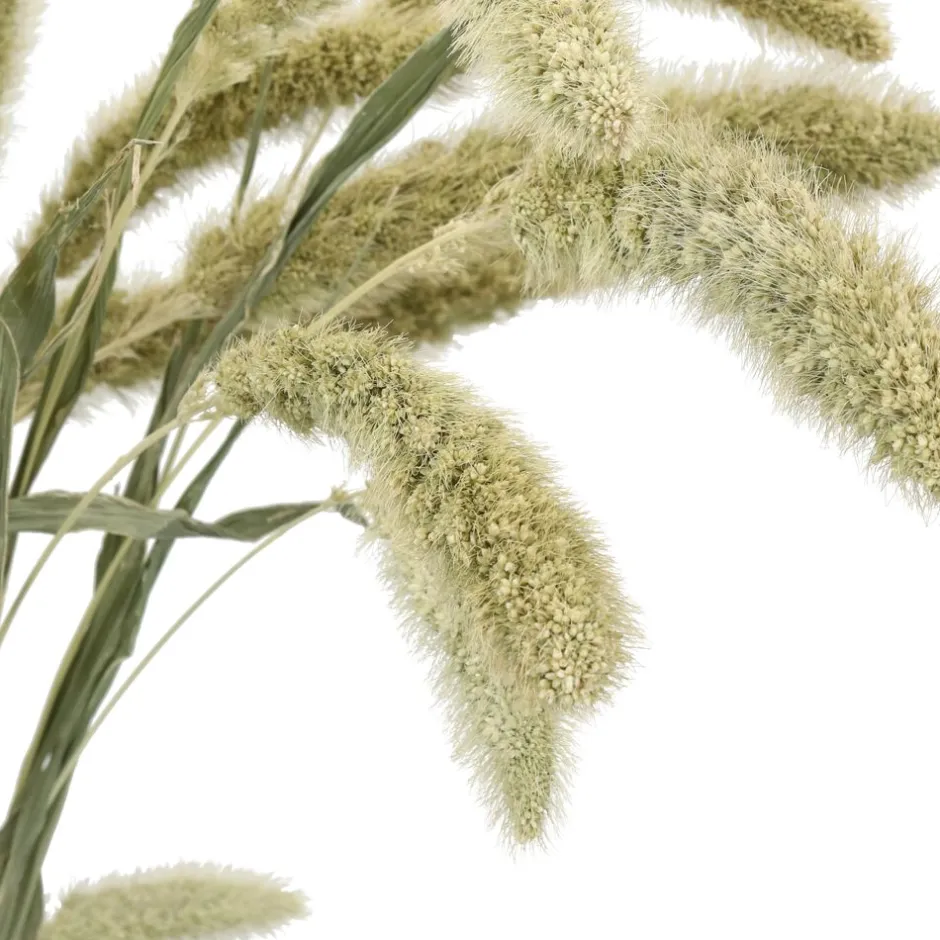 Bouquet Champêtre COLLITA | Composition séchée durable en déco naturelle | 70 cm, vert sapin - Pomax Fleurs