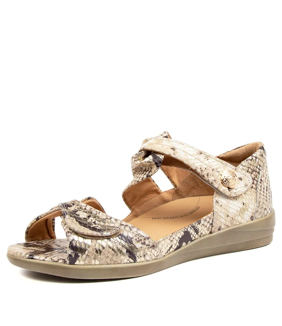 Escarpins Confort Doxie W Femme - Nuances de Chocolat Élégantes | Collection Exclusive ZIERA