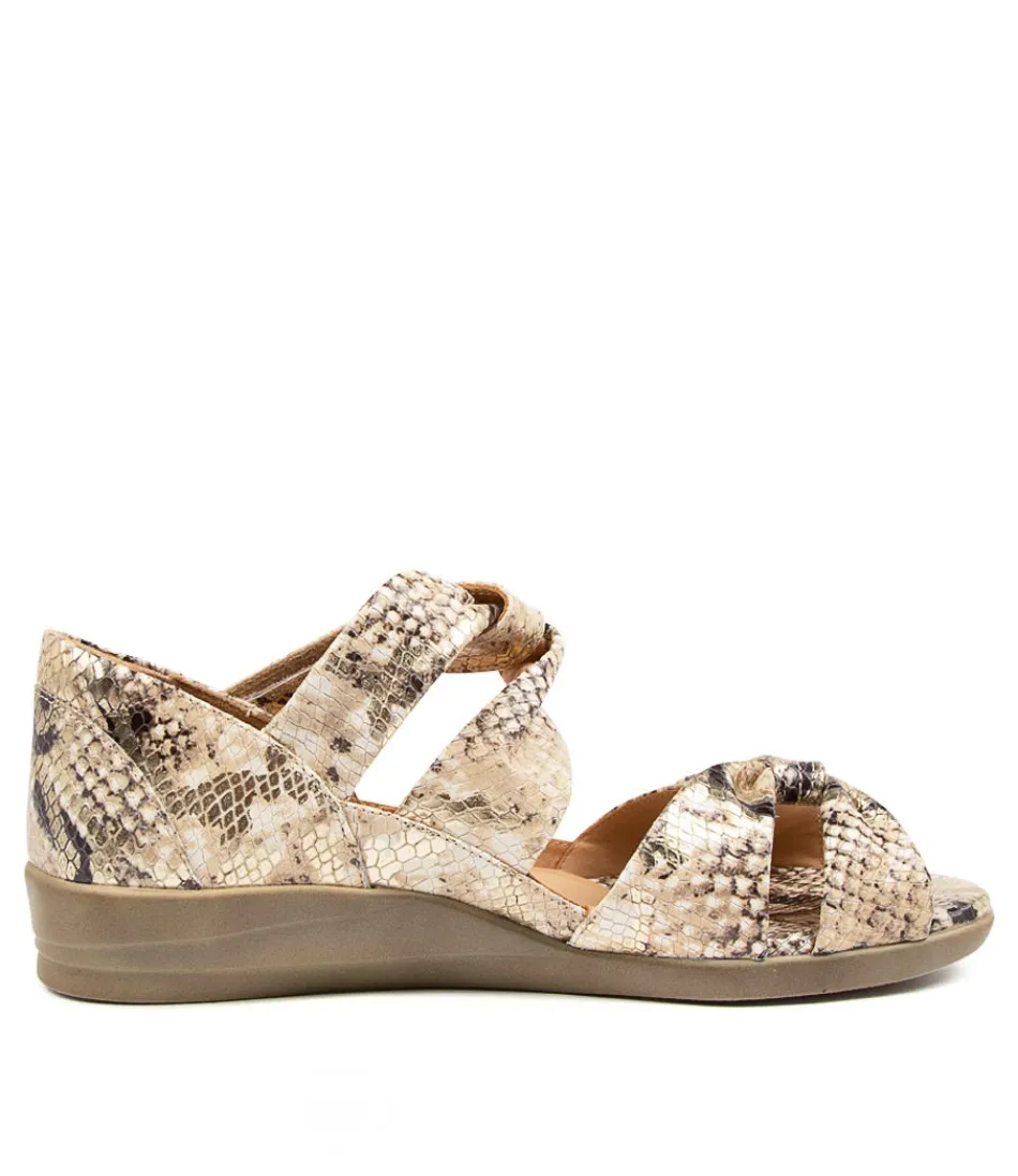 Escarpins Confort Doxie W Femme - Nuances de Chocolat Élégantes | Collection Exclusive ZIERA