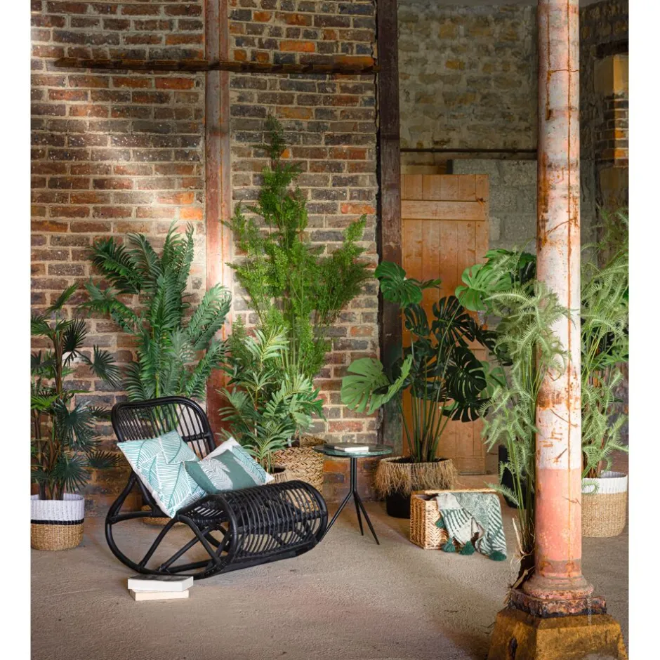 Pomax Plantes - Décoration Végétale 