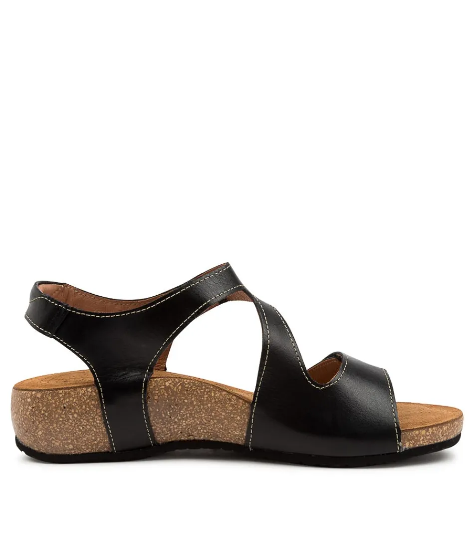 Escarpins TAOS Confort en Cuir Noir Souple - Élégance Urbaine pour Femme 

Découvrez ces chaussures d'exception alliant douceur du cuir patiné et soutien ergonomique, idéales pour vos journées dynamiques comme vos soirées élégantes.