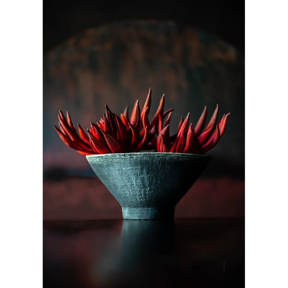 Bol traditionnel en terre cuite artisanale - Noir intense - Diamètre 24,5 cm sur 13 cm de hauteur - Collection MERAPI par Pomax Bols et Paniers