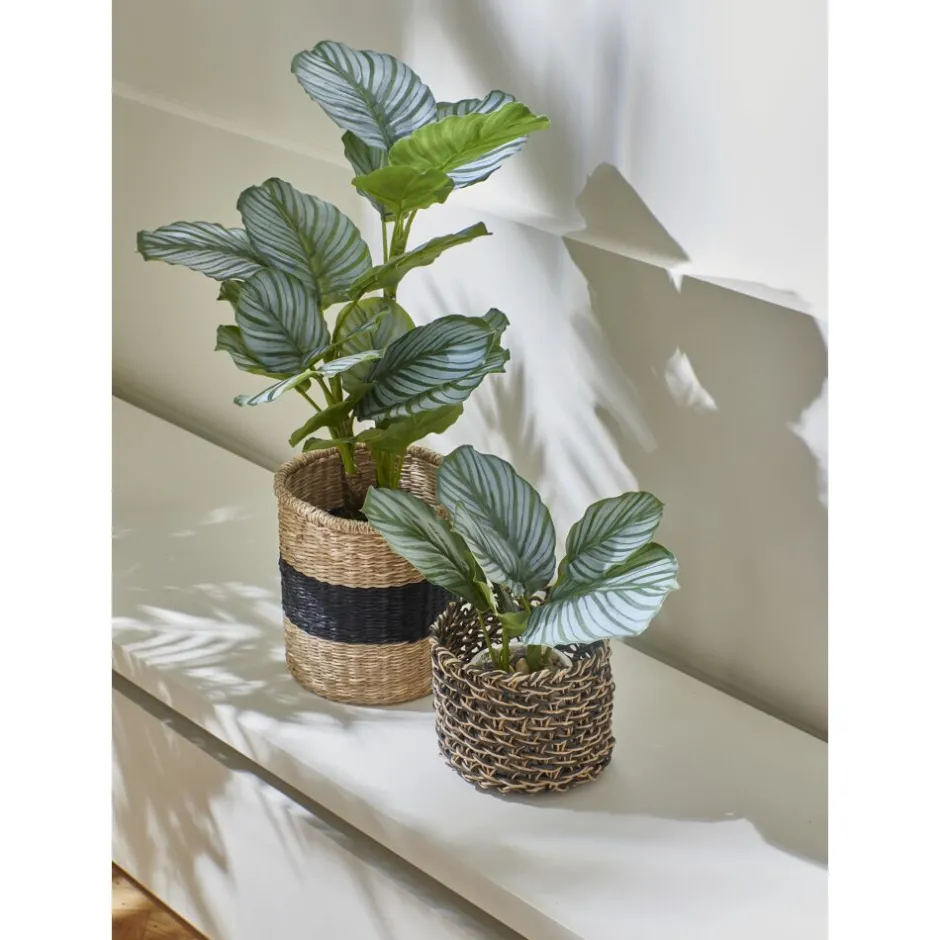 Paniers & Bols Pomax - Collection Nyons : Lot de 3 contenants en papier tressé - Dimensions variables (Diamètres 15/20/28 cm et Hauteurs 15/17/23 cm) - Coloris assortis nature & noir - Idéal rangement déco